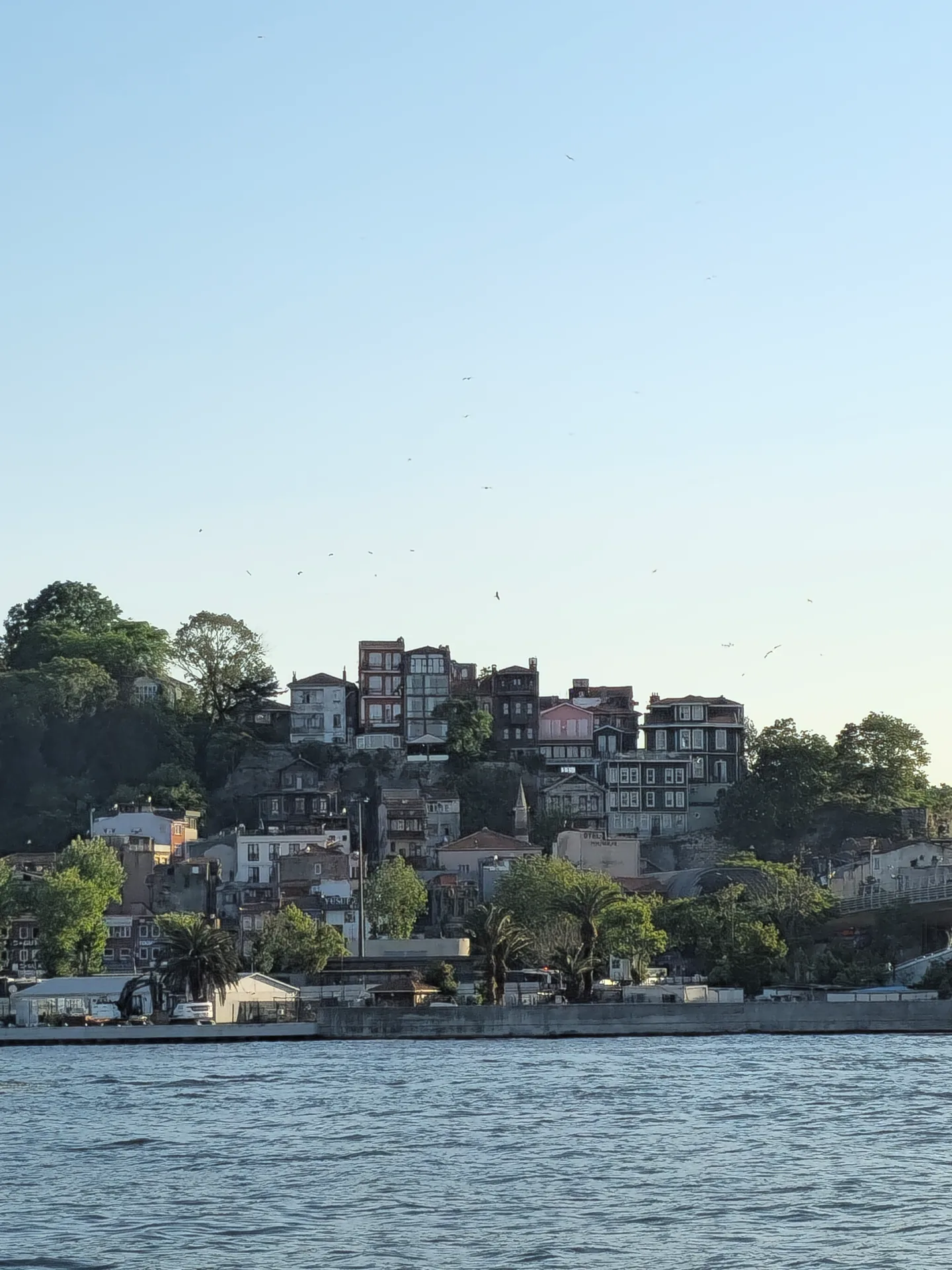 Istanbul waterfront houses beneath a wooded hillside