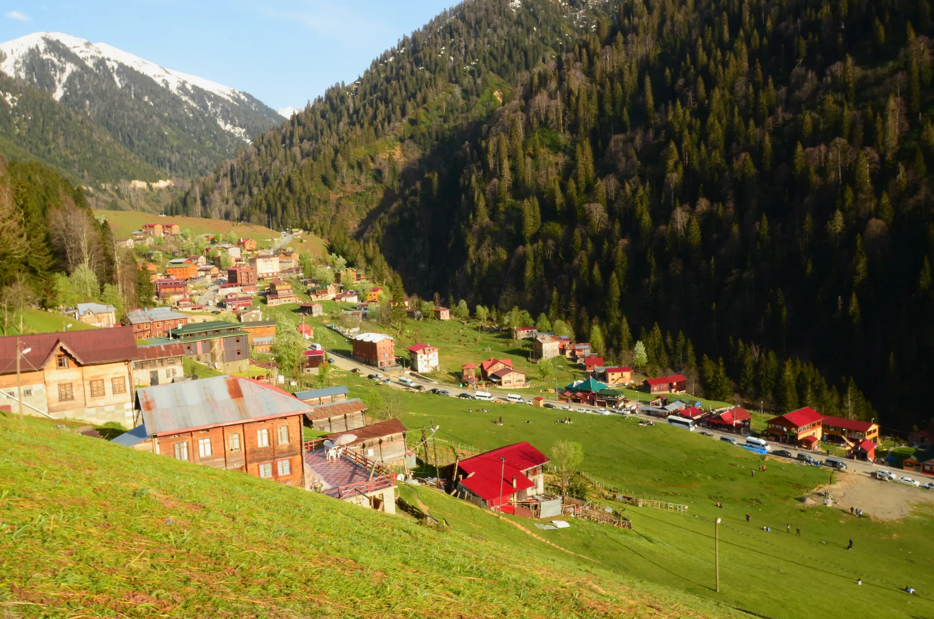 Mountain village and green slopes at Ayder in the Rize region
