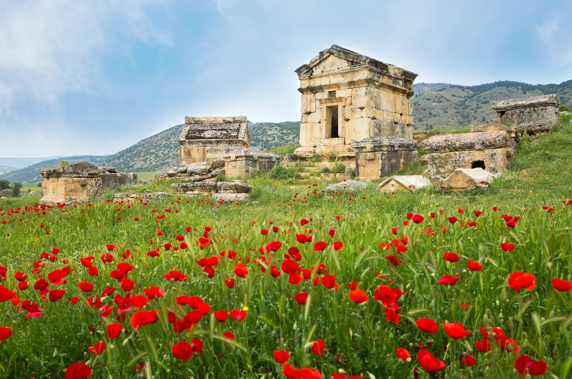 Stone tombs and spring flowers in the Hierapolis necropolis